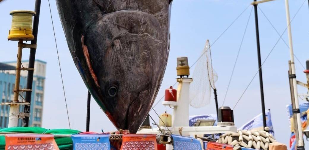 Tayvan’da dev ton balığı rekor fiyata satıldı