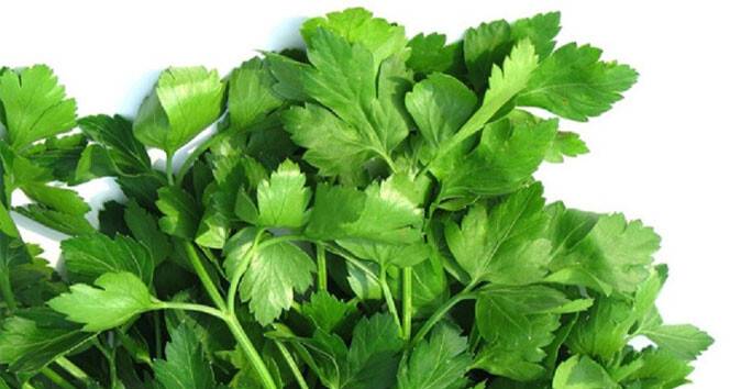 Prof. Dr. Saraçoğlu: 'Karaciğer için maydanoz limon kürü'