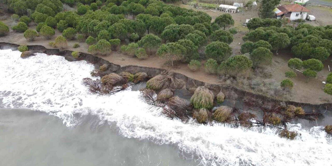Hırçın Karadeniz 150 metre kumsalı yuttu, evler tehdit altında