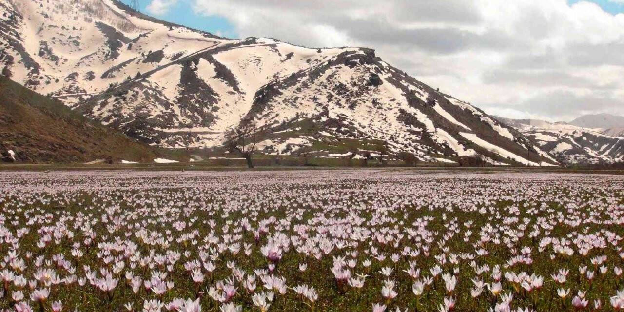 Kardelenlerle beyaza bürünen Güzeldere Vadisinden kartpostallık görüntüler