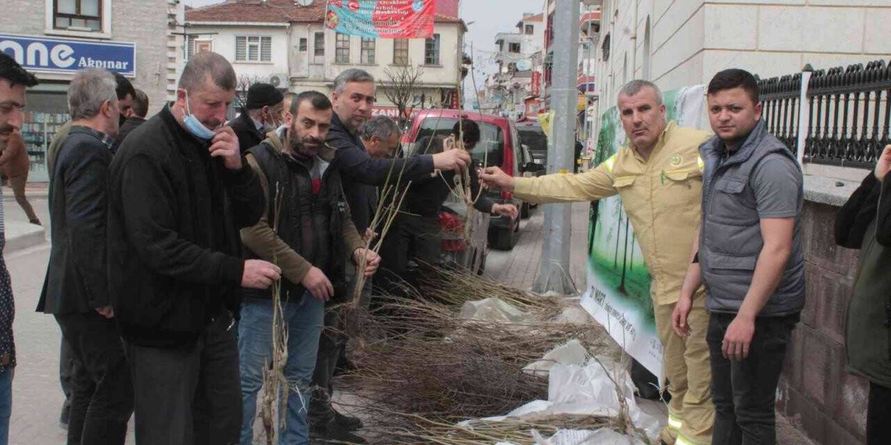 İnebolu’da vatandaşlara ücretsiz meyve fidanı dağıtıldı