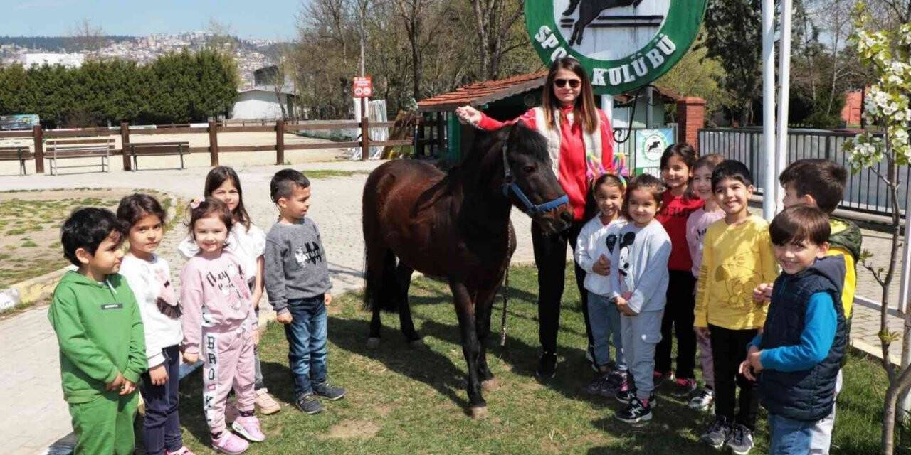Çocuklara ücretsiz at binme eğitimi