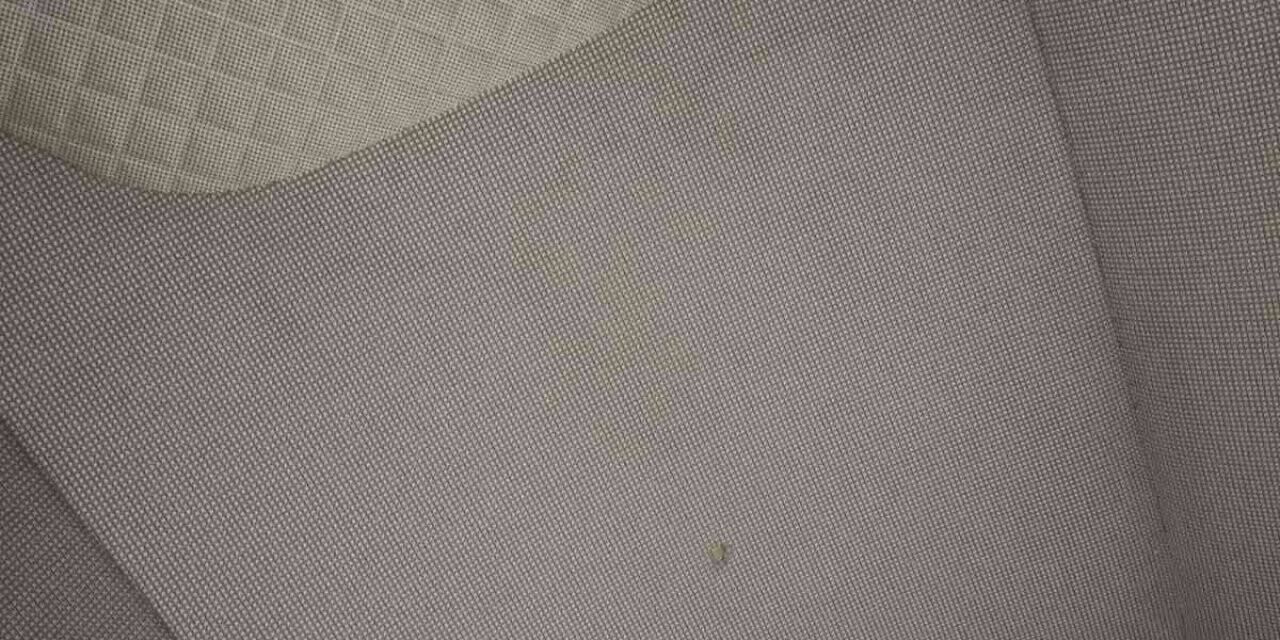 Arabada silahla oynarken arkadaşını vurdu