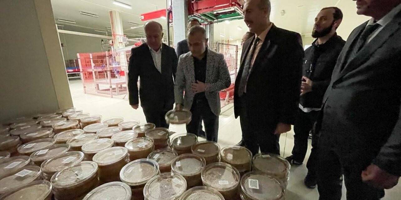 Ordu’dan 3 Avrupa ülkesine bal ihracatı