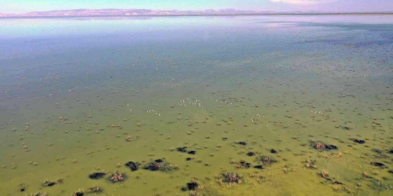 Kuruyan Akşehir Gölü’ne su gelmeye başladı