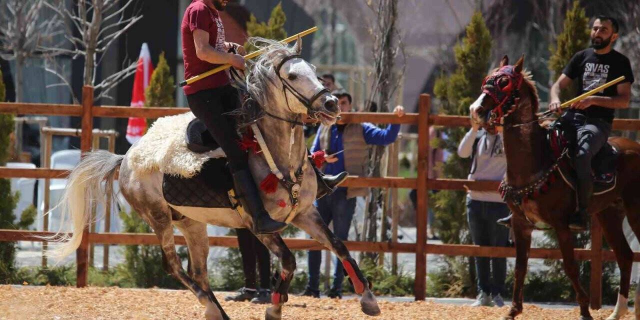 Sivas’ta ata sporu cirit gösterisi nefes kesti