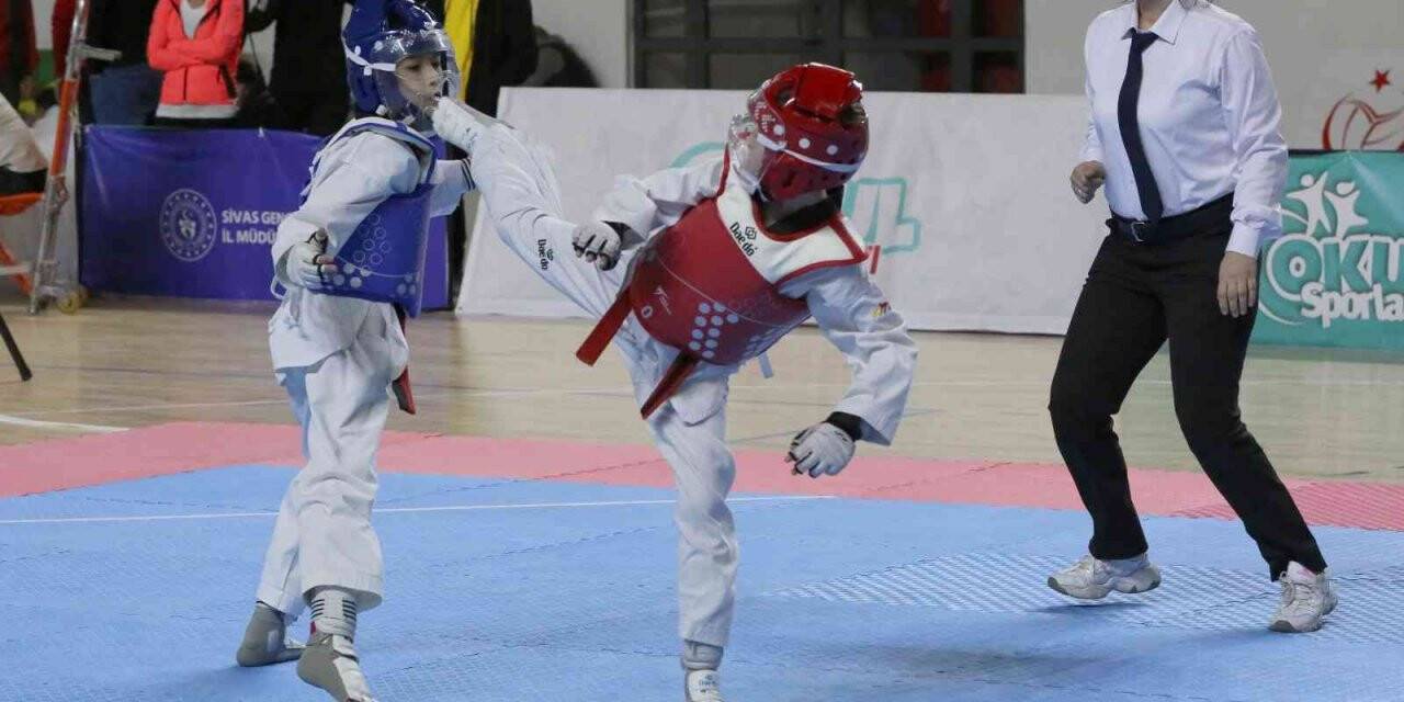 Türkiye Taekwondo Şampiyonası, Sivas’ta başladı