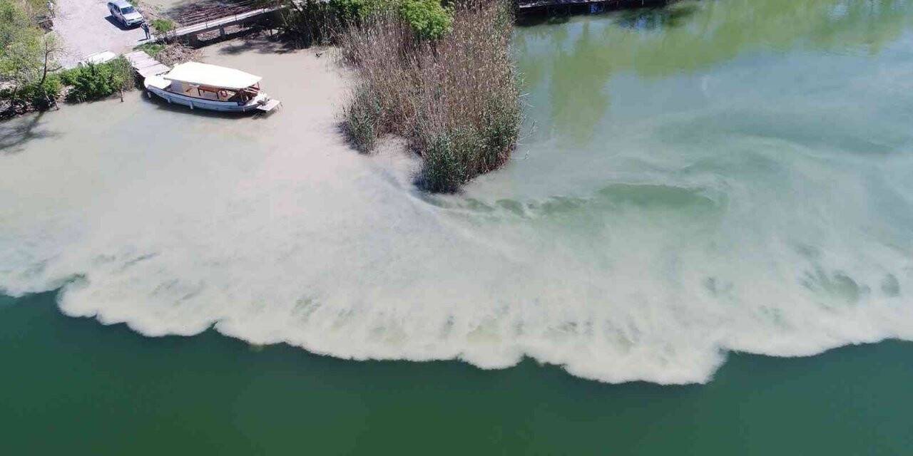 Zirai kanal temizliğinde atıklar Dalyan kanallarına aktı