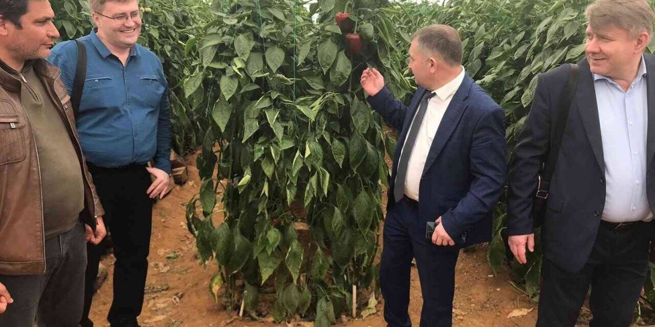 Rusya, Türkiye’den ithal edilen 5 ürünün kısıtlamalarını kaldırdı