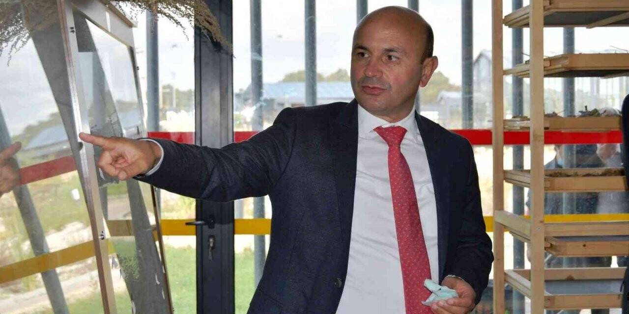 Altınova turizmde de var