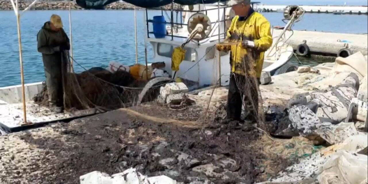 Saros Körfezi’nde balıkçıları tedirgin eden görüntü