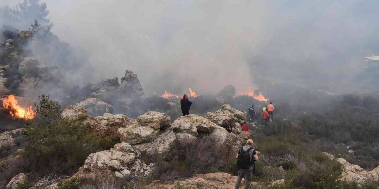 Bodrum’daki orman yangını 6 saat sonunda kontrol altına alındı