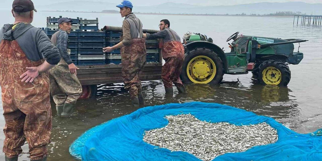 İznik Gölü’nde gümüş balığı sezonu açıldı