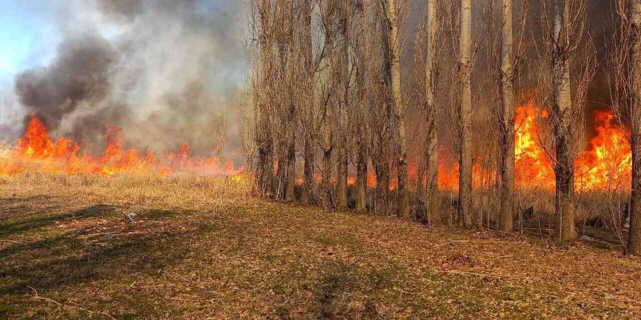 Onlarca kuş türüne ev sahipliği yapan sazlık alanda korkutan yangın