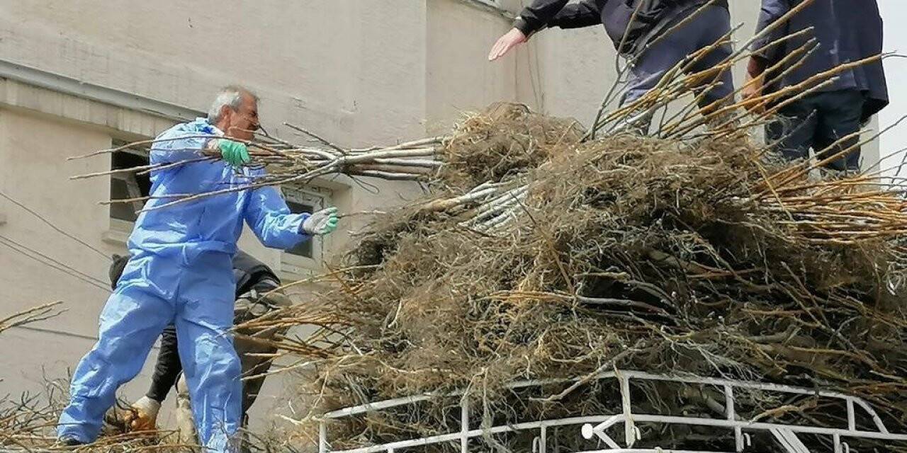 Bitlis’te 1 milyon meyve fidanı projesinin 2. etabı devam ediyor