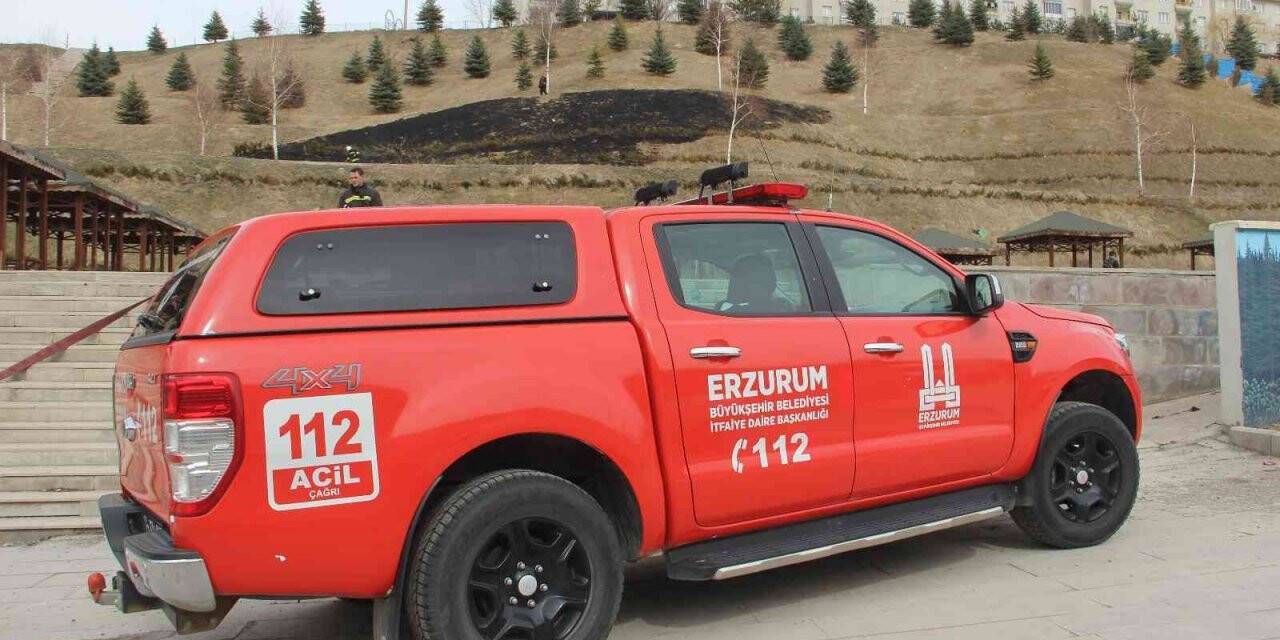 Tiktok akımı için mesire alanını yaktılar