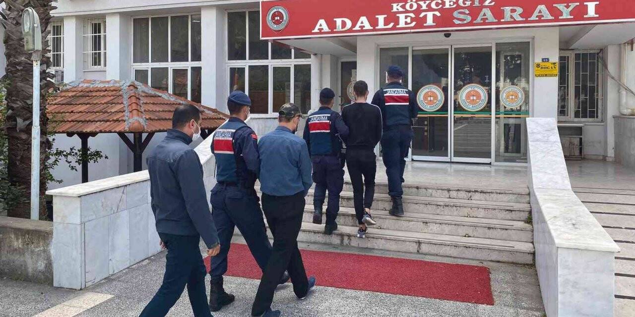 Göçmen kaçakçıları tutuklandı