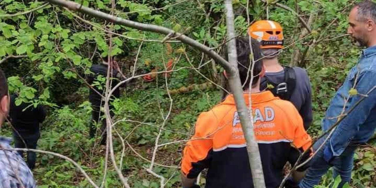 Artvin’de uçuruma yuvarlanan yaşlı adam hayatını kaybetti