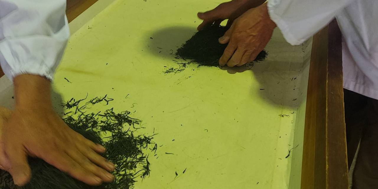 Japonya’daki açık artırmada 1 kilogram çay 226 bin liraya satıldı