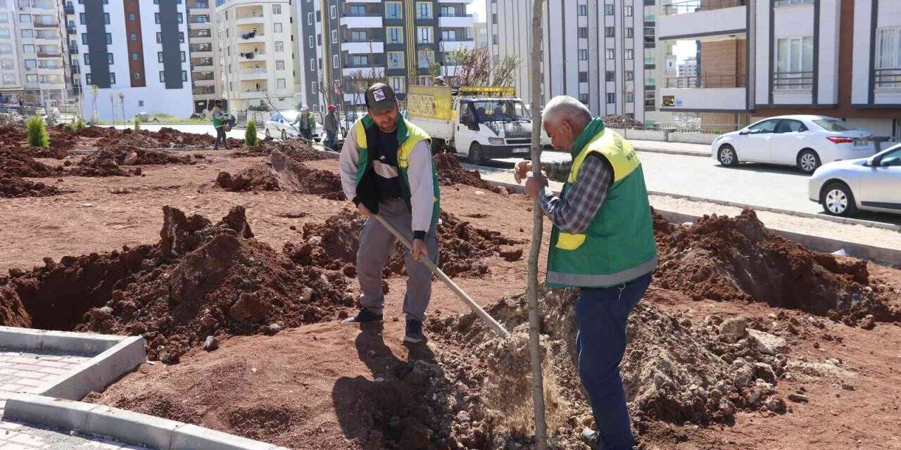 Karaköprü’de yeni parklar ağaçlarla yeşilleniyor