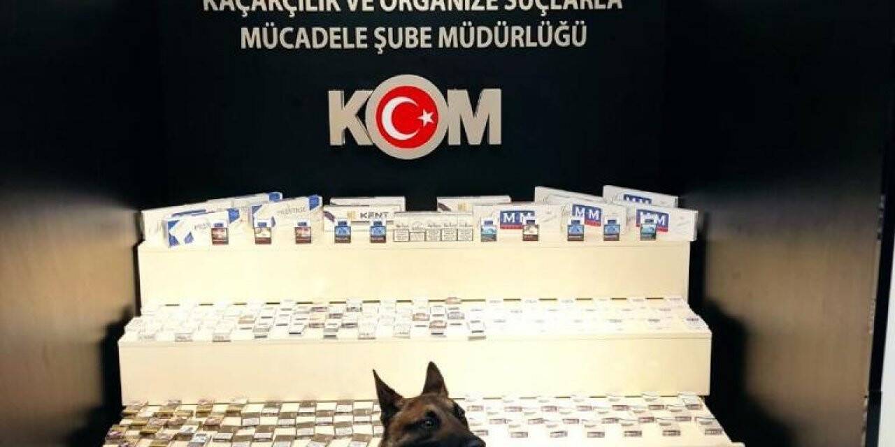 Van’da gümrük kaçakçılığı operasyonu