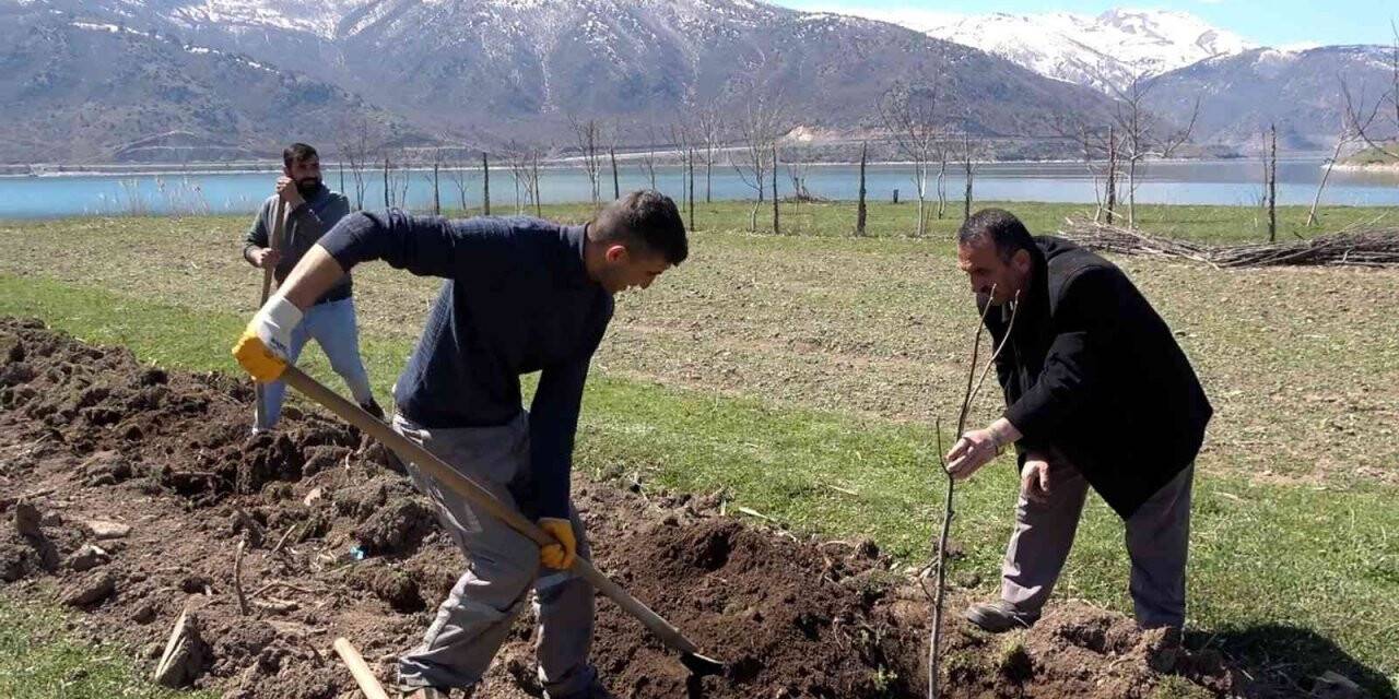 Tatvan’da meyve fidanları toprakla buluştu