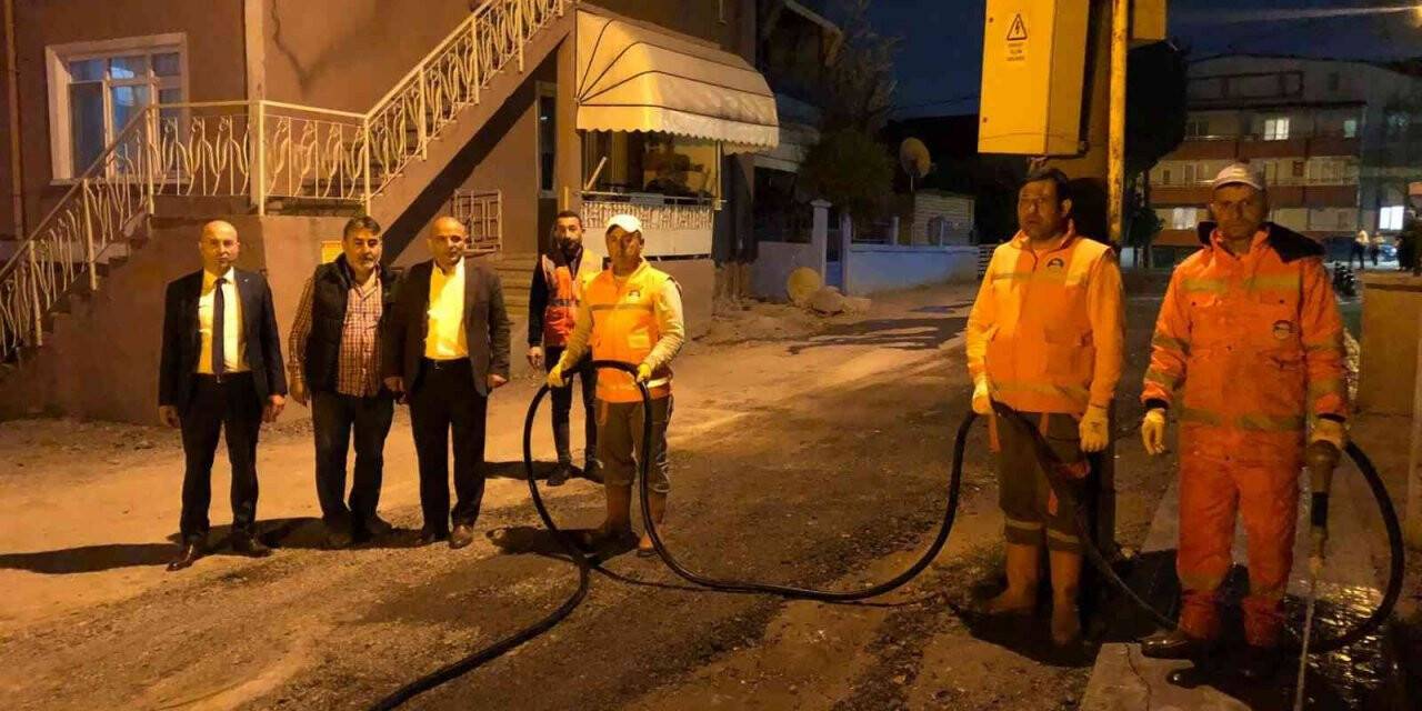 Körfez’de bahar temizliği