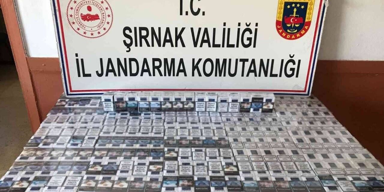 Şırnak’ta kaçakçılık ve asayiş operasyonu: 72 gözaltı