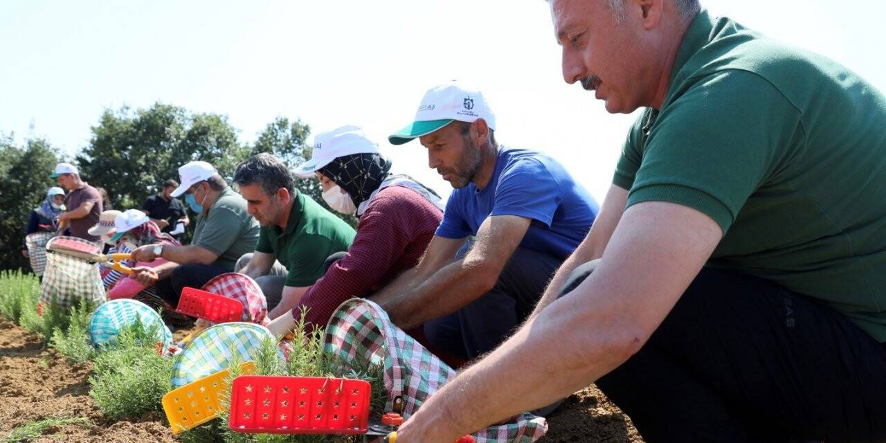 Kooperatif ve birliklere yüzde 75 hibe desteği