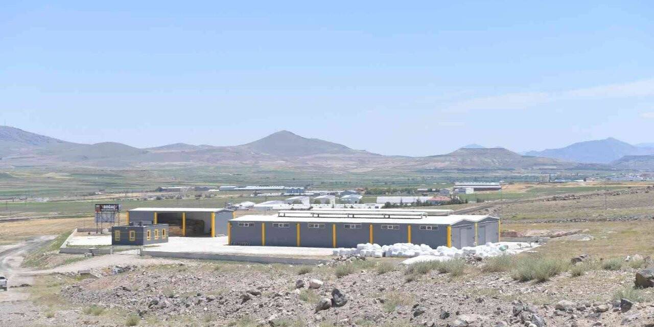 Beydeğirmeni’nde büyükbaş besi ahırları için 225 ön talep TOKİ ‘ye iletildi