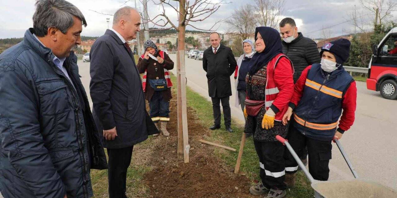 Düzce Belediyesi Park bahçeler ilk çeyreği dolu dolu geçirdi
