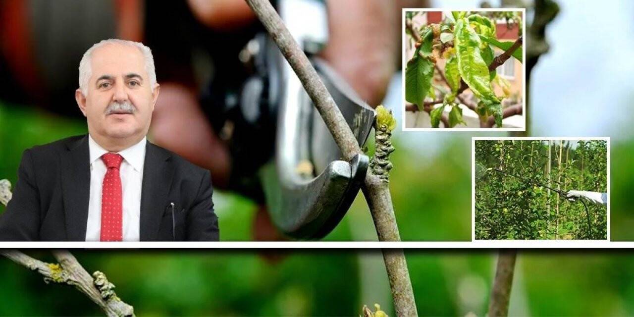 Van’da çiftçilere hastalık ve zararlılara karşı mücadele uyarısı