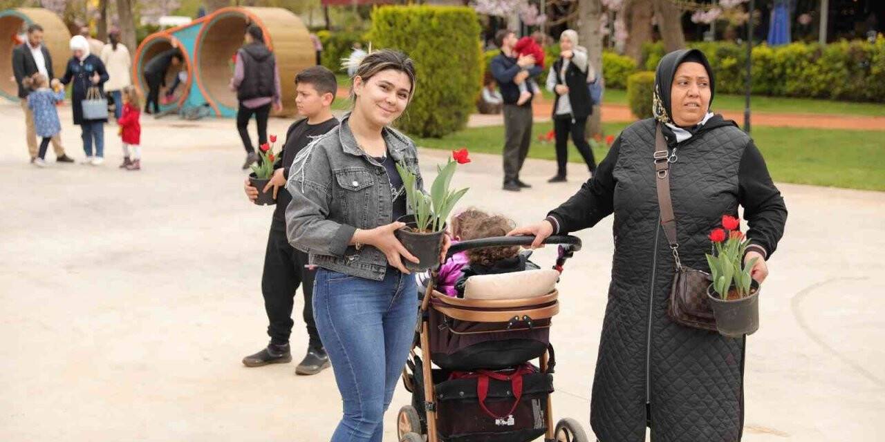Gaziantep’te lale devri