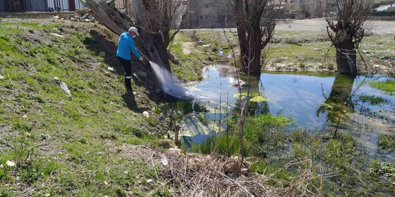 Hakkari’de ilaçlama çalışması başlatıldı