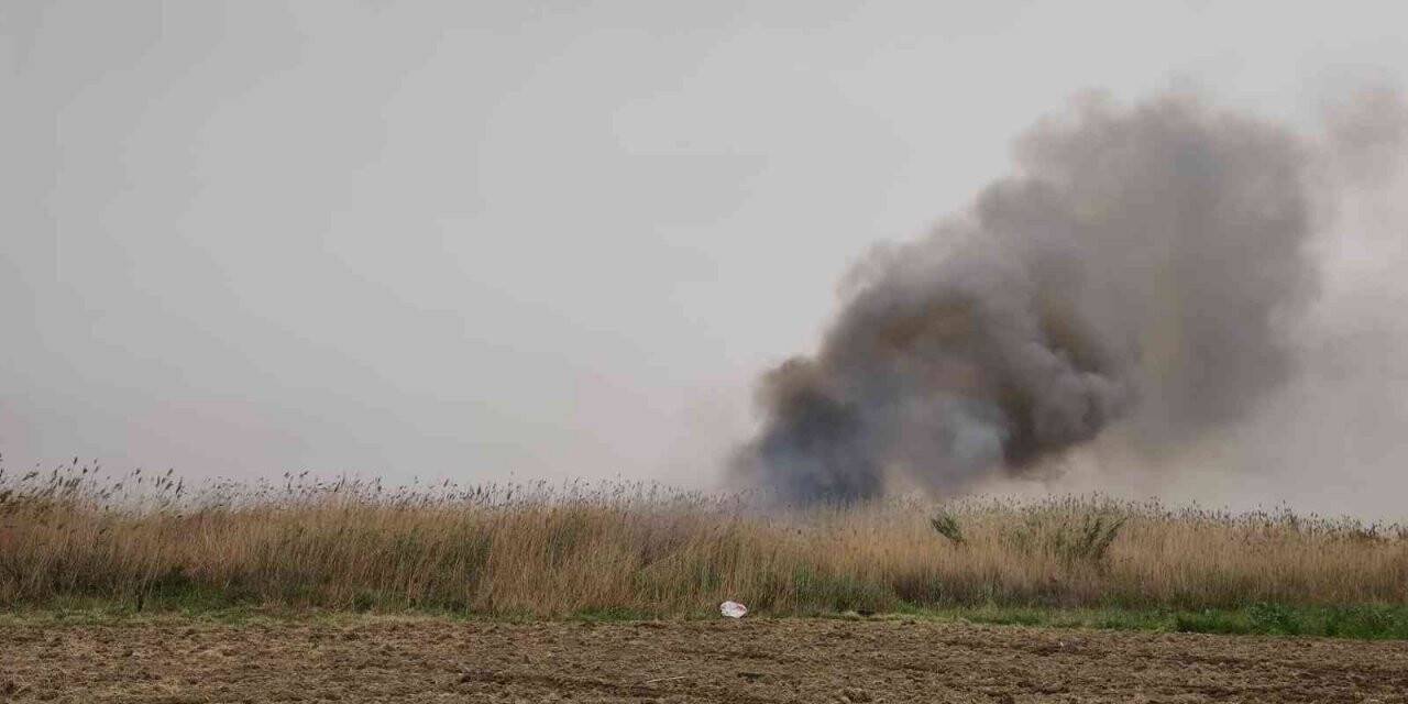 Hatay’da sazlık alanda yangın