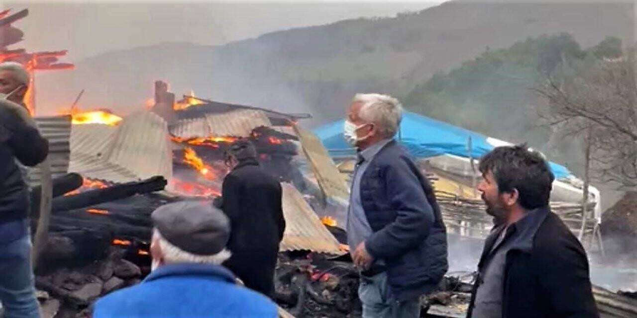 Tokat’ta ahır yangınında 3 buzağı telef oldu