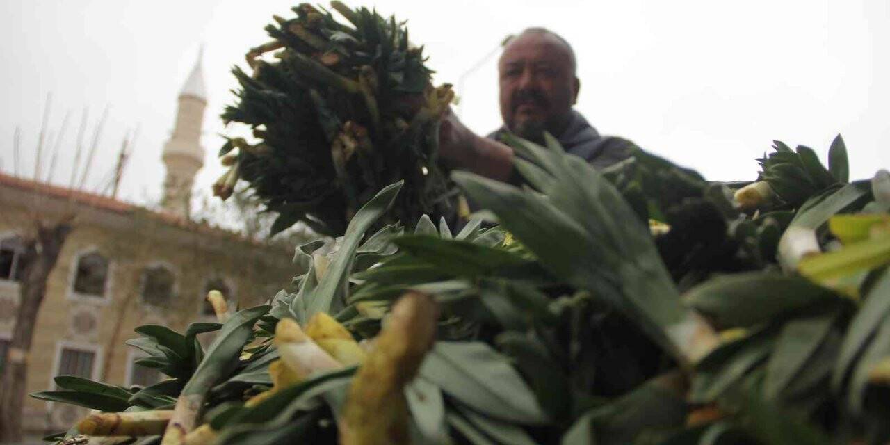 Lezzet ve şifa deposu yabani pırasa tezgâhlarda yerini aldı