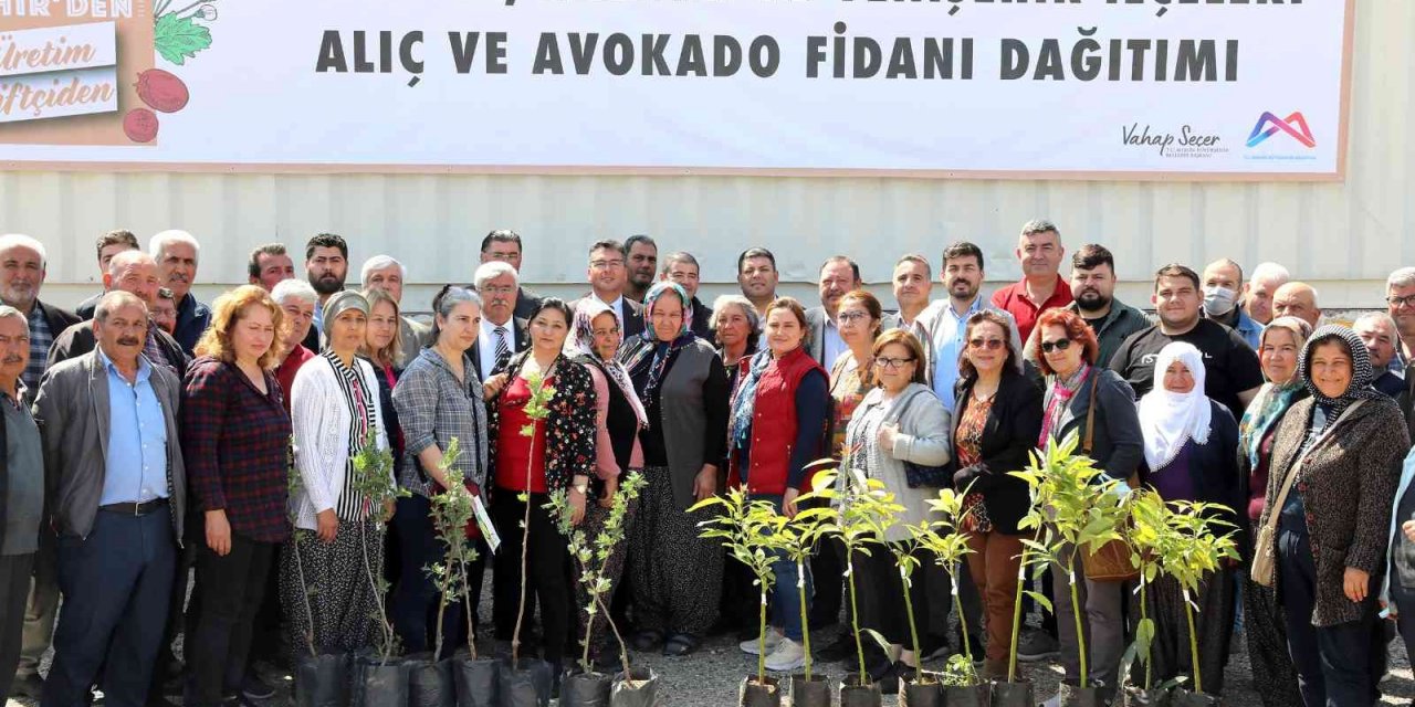 Mersin’de 105 üreticiye avokado ve alıç fidanı desteği
