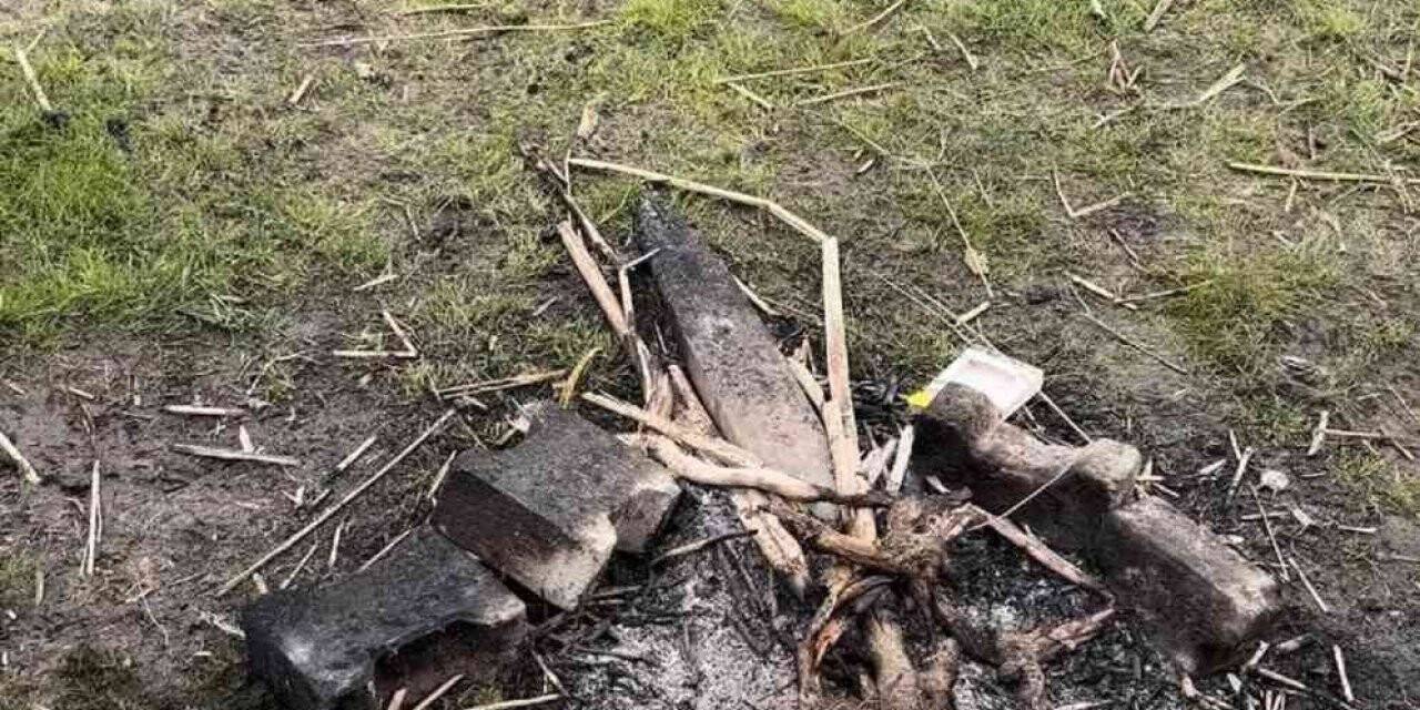 Şehir magandaları piknik masasını yaktı