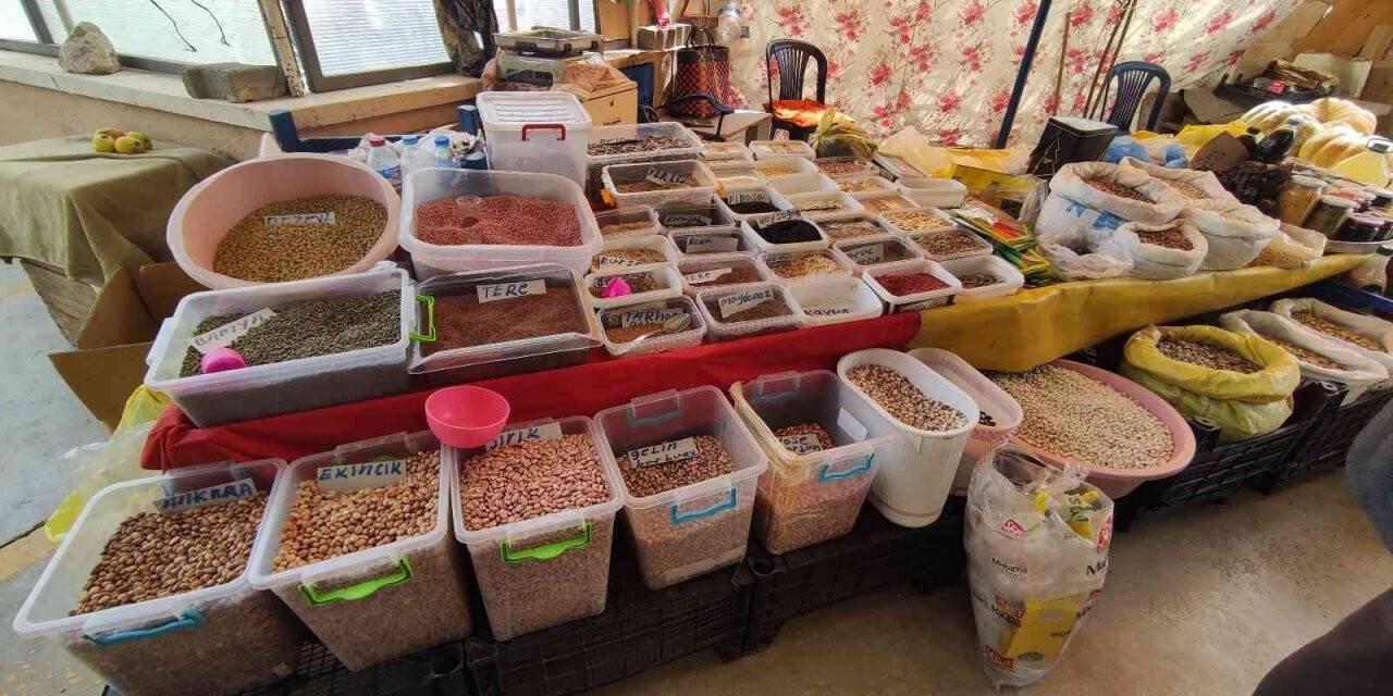 Ata tohumları satarak geçimini sağlıyor