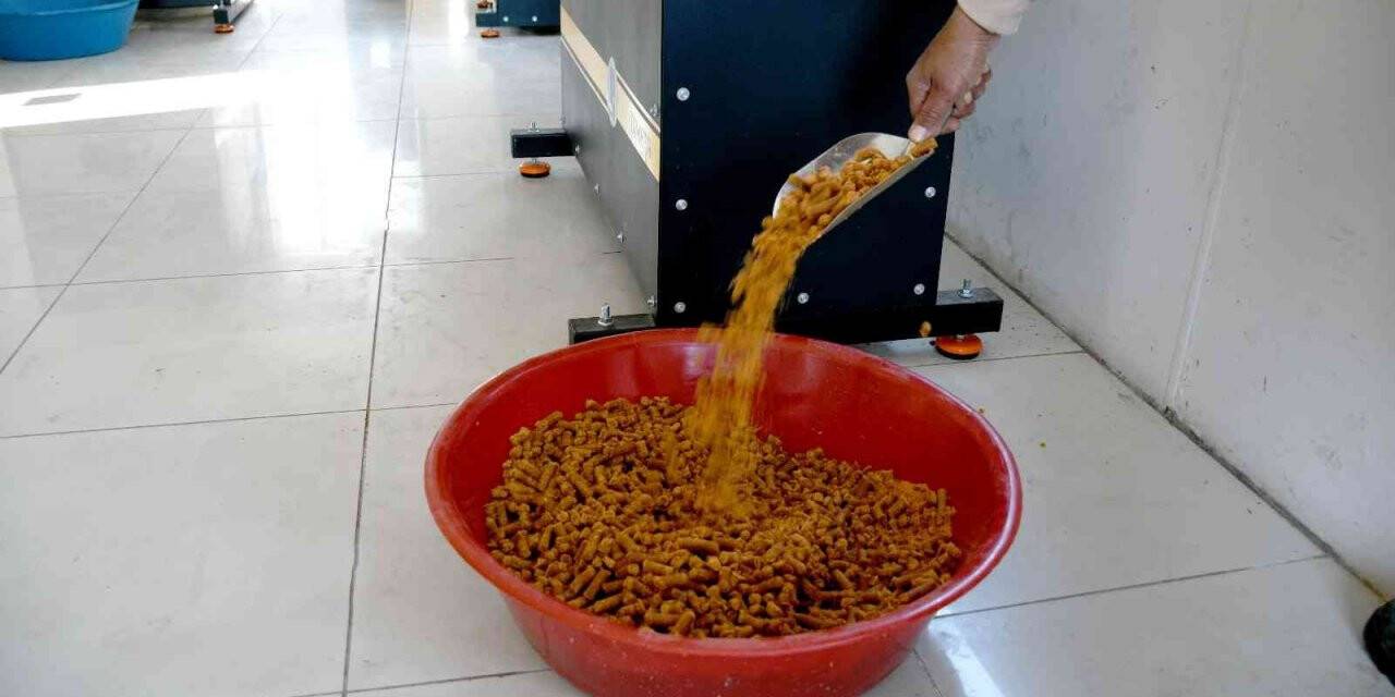 Kuşadası Belediyesi can dostlar için mama üretimine başladı