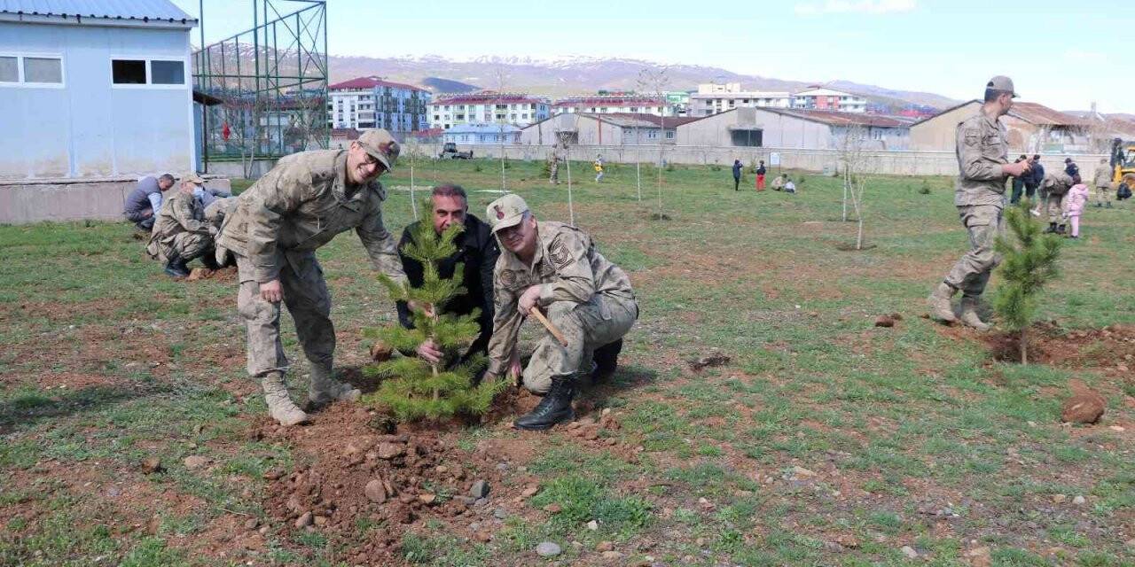 Bingöl’de jandarma şehitler anısına fidan dikti