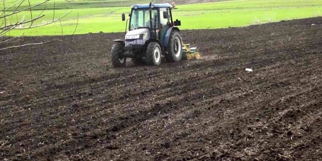 Muş Ovası’nda çiftçiler şeker pancarı ekimi için tarlaya indi