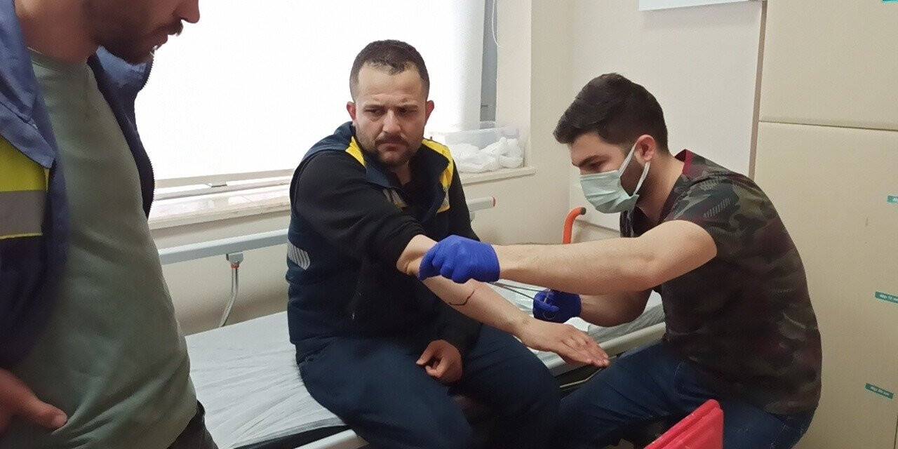 Elektrik dağıtım firmasının görevlisine köpekler saldırdı