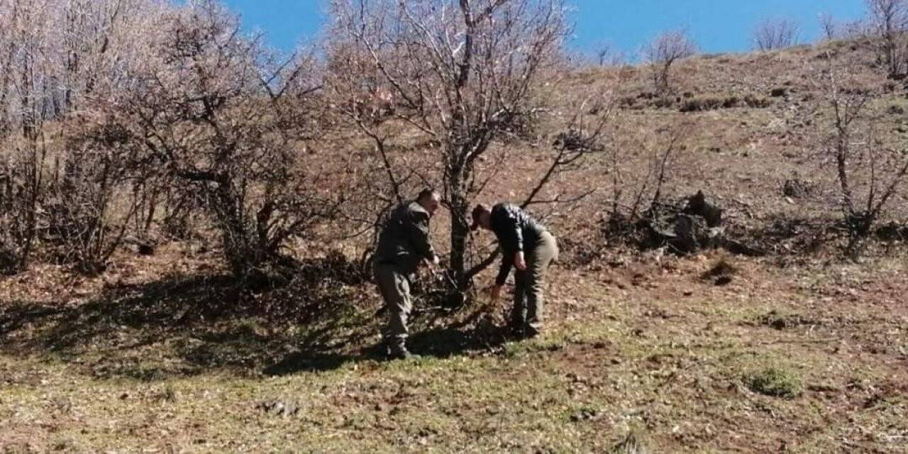 Elazığ’da yaban hayatı ve kaçak avcılar, fotokapanlarla tespit ediliyor