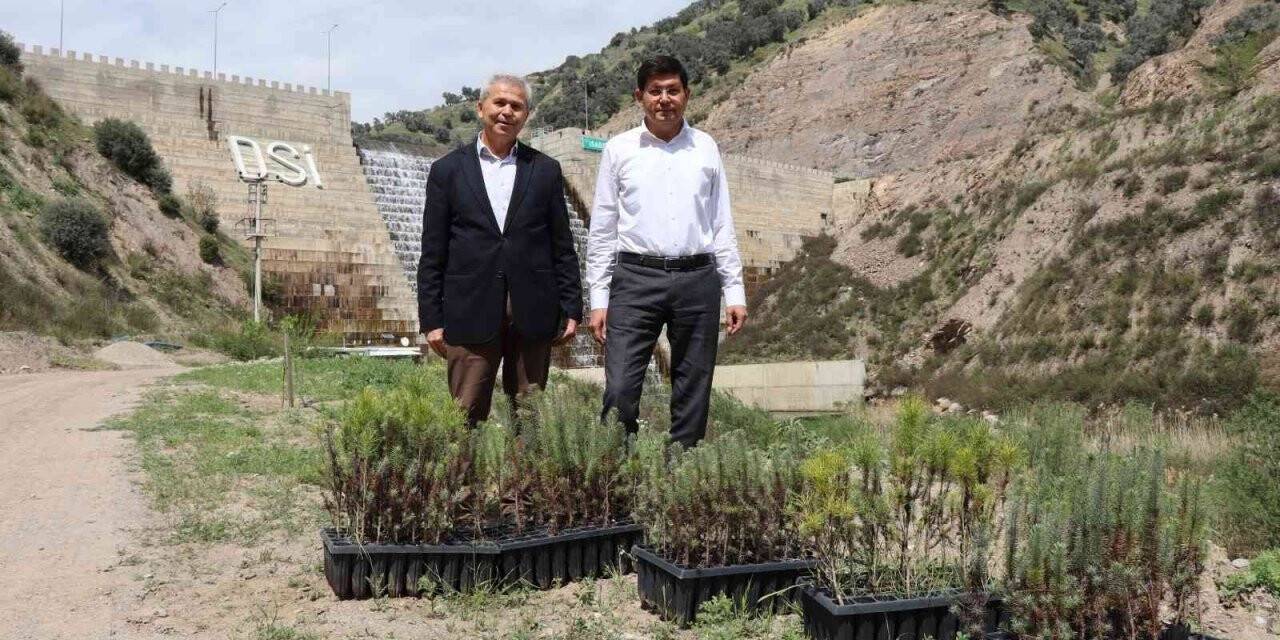 İsabeyli’de 500 fidan toprakla buluştu