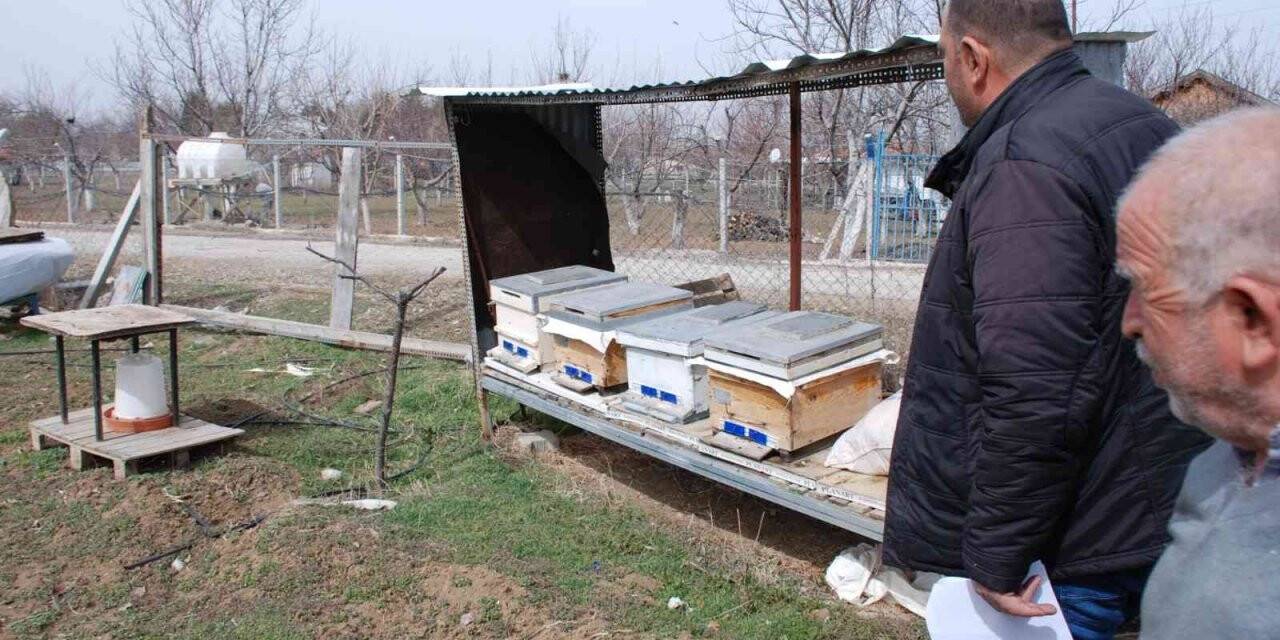 Akyurt’ta amatör arıcılara yüzde 100 destek
