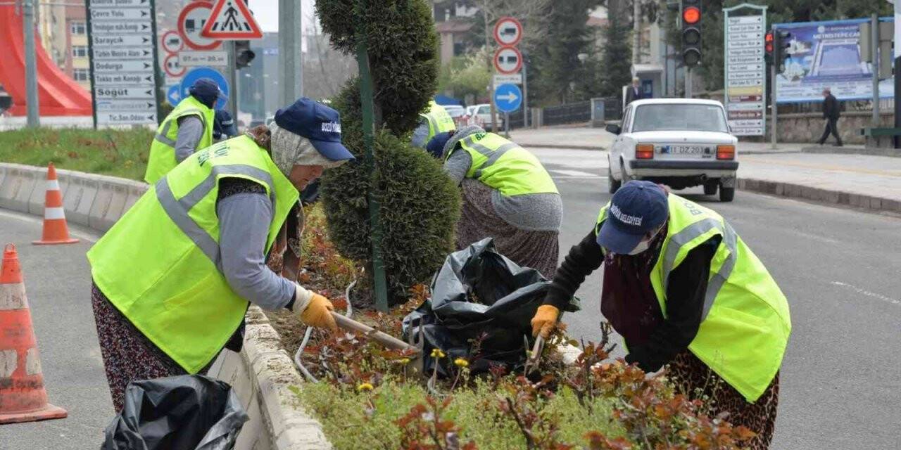 Bozüyük’te yeşil alanlardaki bakım çalışmaları sürüyor