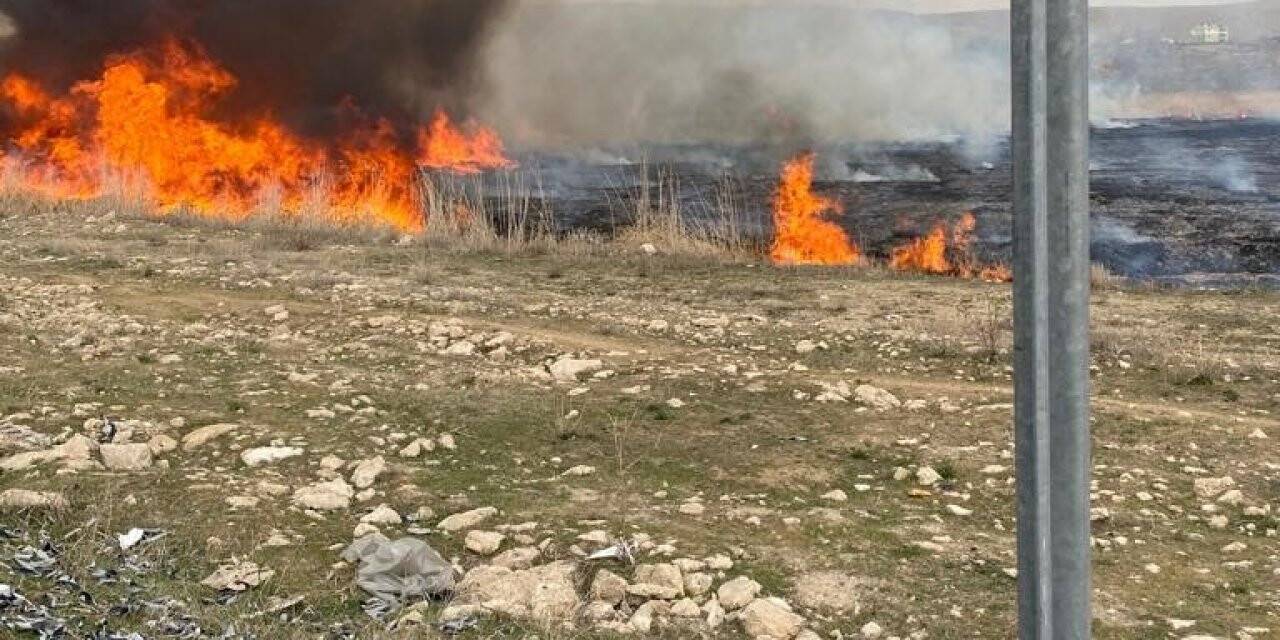 Van’da sazlık yangını