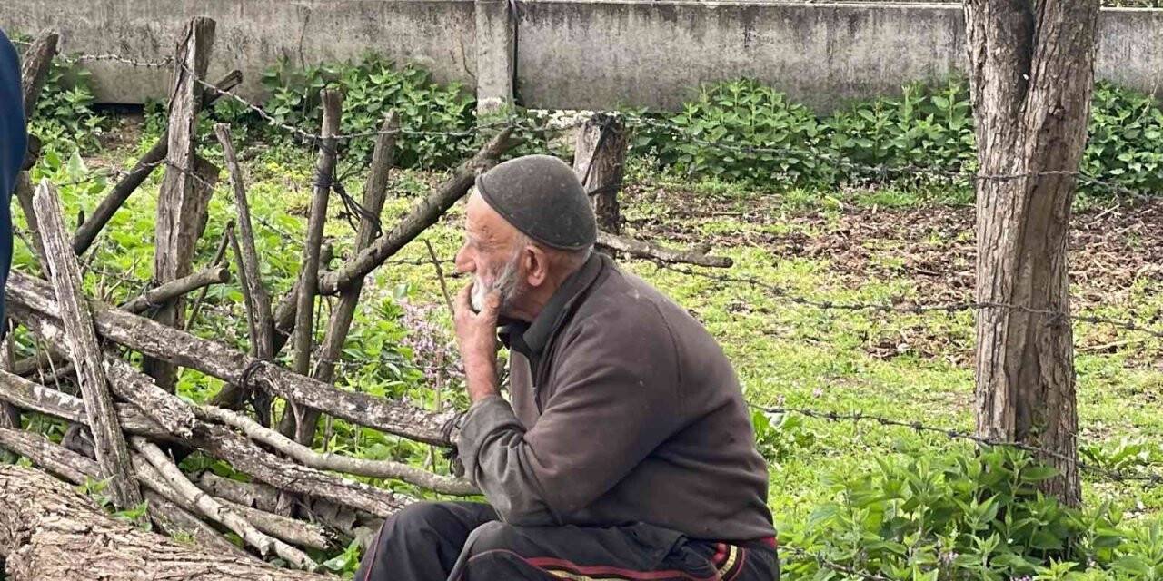Yaşlı adamın ardiyesi alev alev yandı, gıda ve yemleri kül oldu